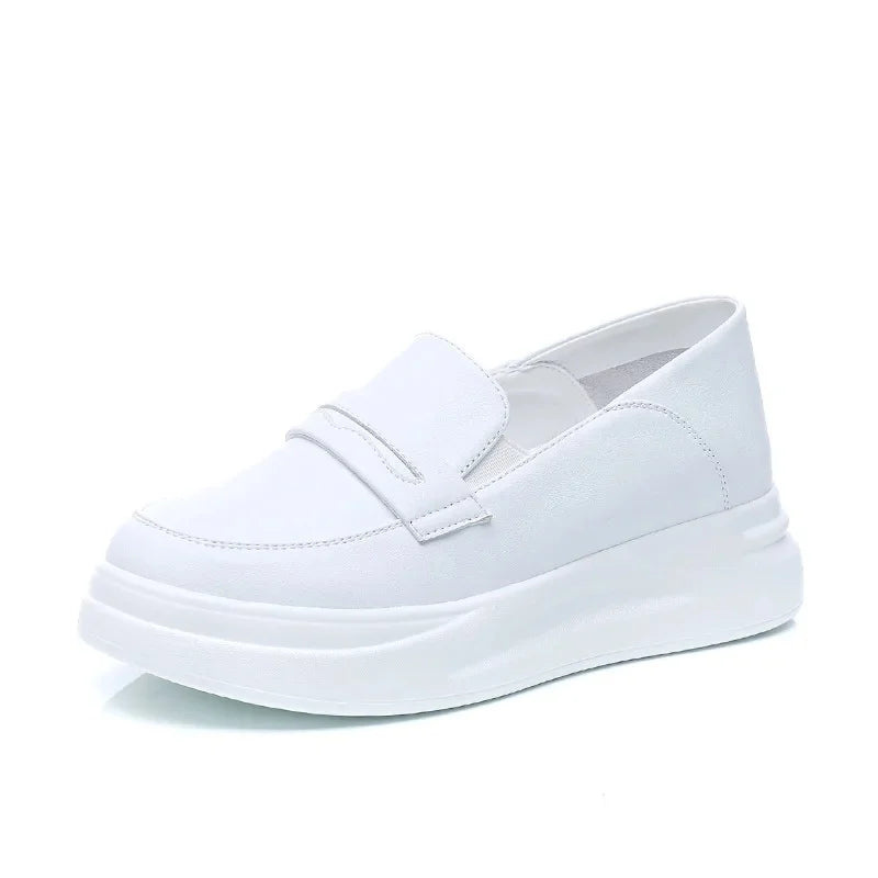 Mocassin wonders